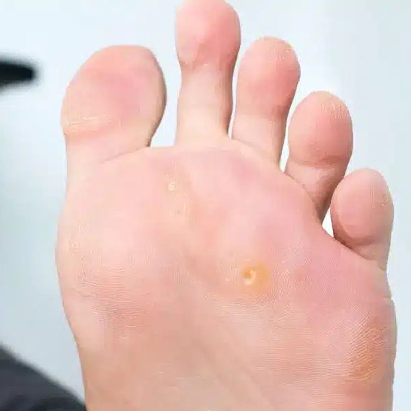 Camila Peñaloza Espina