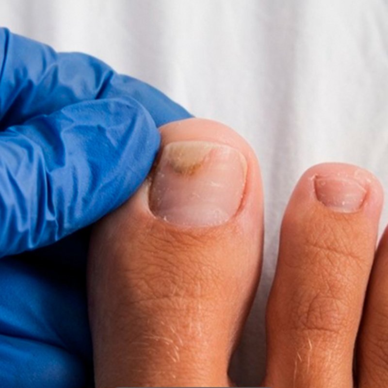 Camila Peñaloza Espina